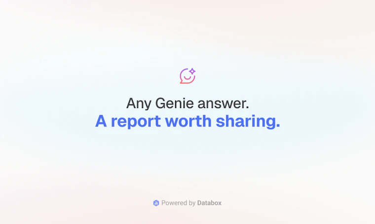 Artifacts by Databox - 向 AI 分析师提问，秒获开箱即用的专业报告 产品图片 8