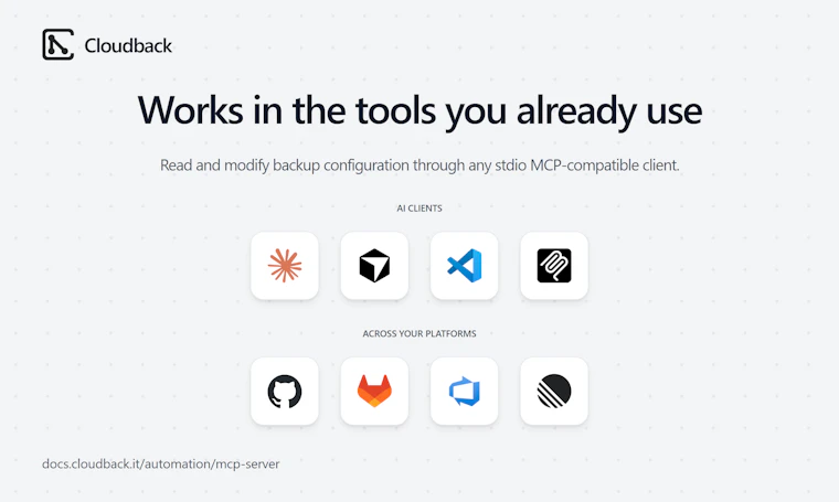 Cloudback MCP Server