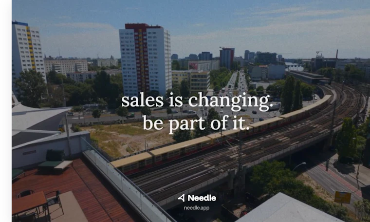 Needle