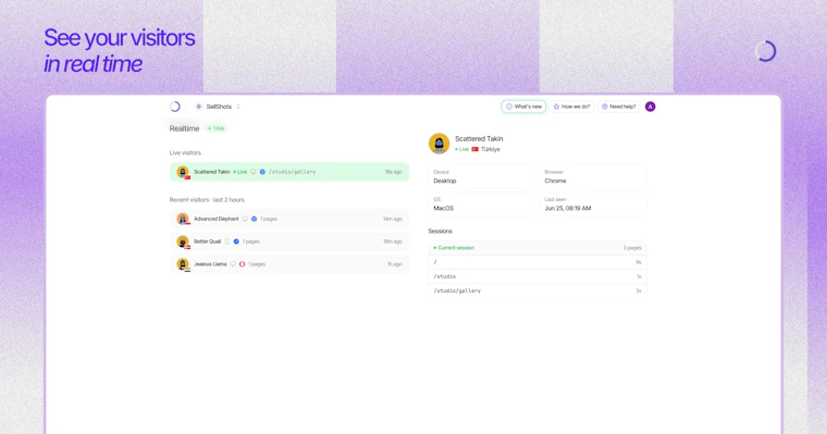 Sleek Analytics