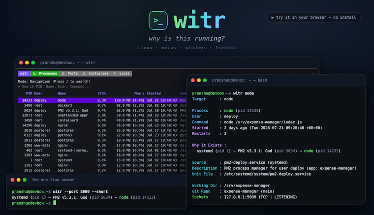 witr - 为何在运行？追踪进程、端口、容器或文件 产品图片 2
