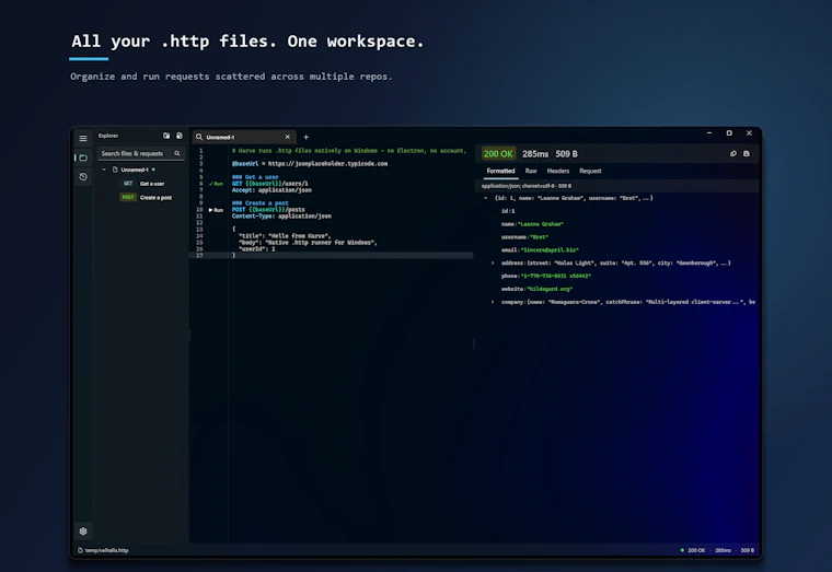 Karve - 专为 Windows 开发者打造的 API 客户端 产品图片 2