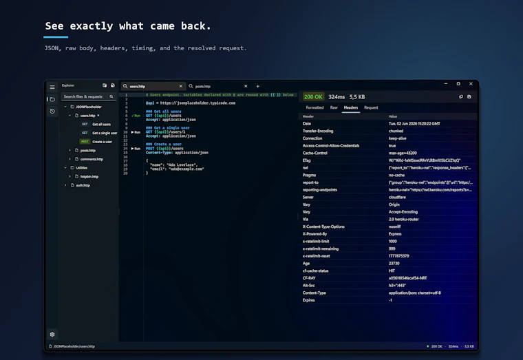 Karve - 专为 Windows 开发者打造的 API 客户端 产品图片 5