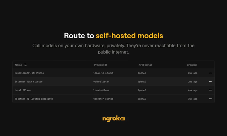 ngrok AI Gateway - 为每个 AI 模型打造的一站式私有网关 产品图片 5