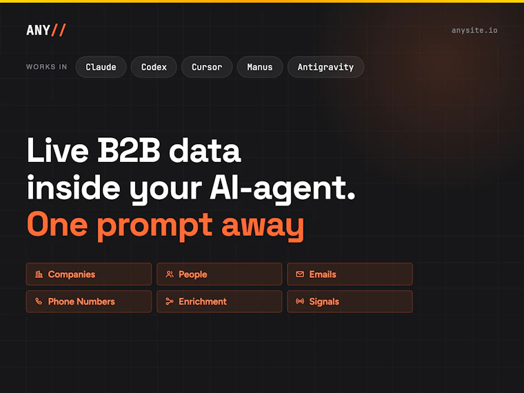 Anysite.io - 通过对话AI助手,构建并丰富B2B客户名单 产品图片 1