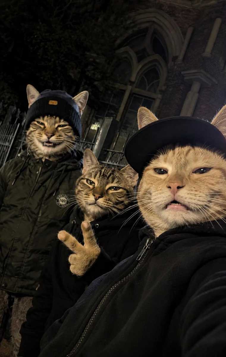 CAT ME app - 一键变身：看看你和朋友做猫的模样 产品图片 3