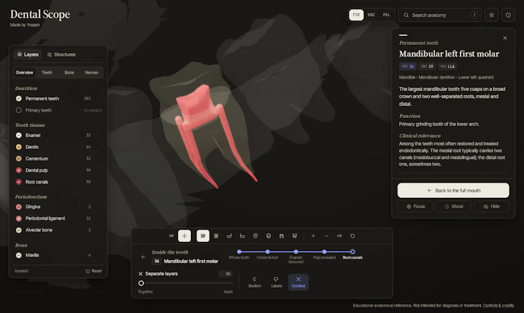 Dental Scope - 以3D视角逐颗探索牙齿解剖结构 产品图片 2
