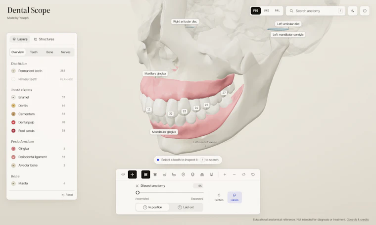 Dental Scope - 以3D视角逐颗探索牙齿解剖结构 产品图片 3