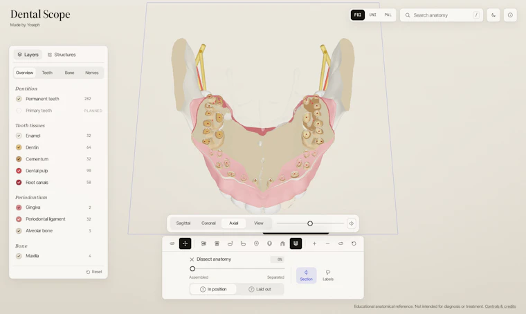 Dental Scope - 以3D视角逐颗探索牙齿解剖结构 产品图片 4