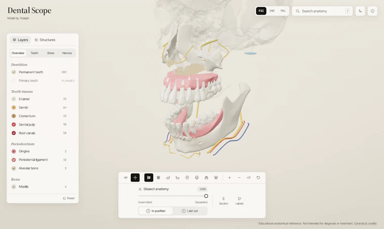 Dental Scope - 以3D视角逐颗探索牙齿解剖结构 产品图片 5