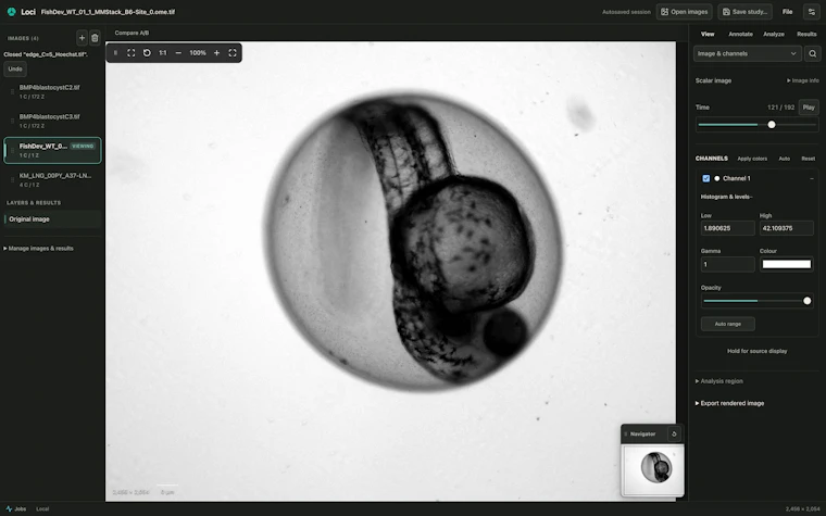 Loci - 面向所有实验室的开源生物医学图像分析工具 产品图片 6