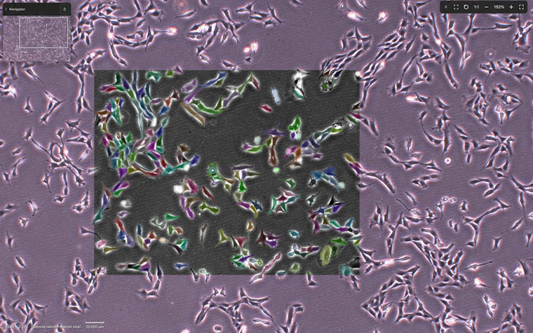Loci - 面向所有实验室的开源生物医学图像分析工具 产品图片 8