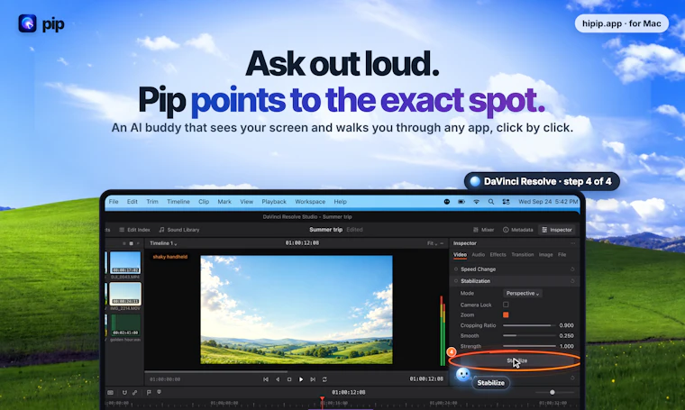PIP - 你的桌面AI智能搭档 产品图片 6