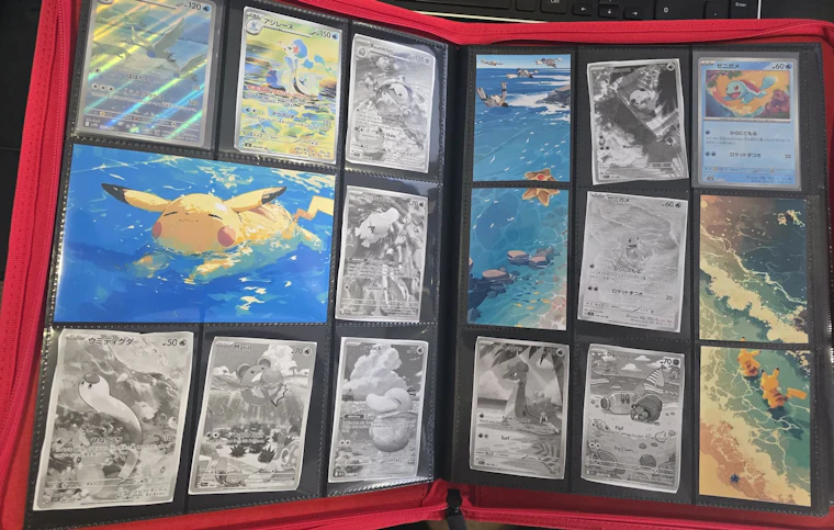 Pokébinder - 规划你的宝可梦卡册，一键打印缺失卡牌占位符 产品图片 5