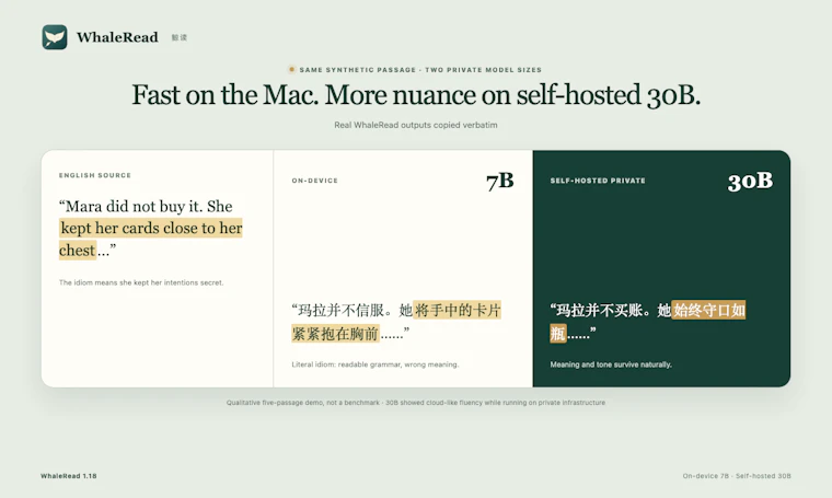 WhaleRead - 本地化翻译TXT、Markdown与EPUB格式 产品图片 2