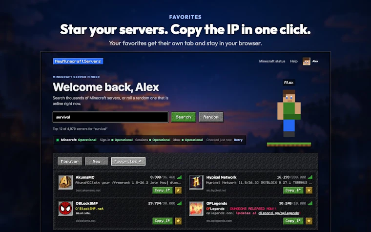 NewMinecraftServers - 我的世界服务器发现、数据分析与防作弊检测。 产品图片 4