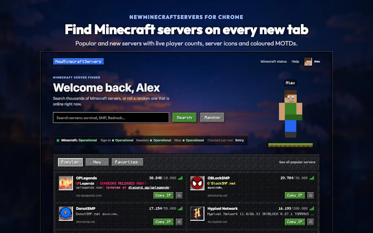 NewMinecraftServers - 我的世界服务器发现、数据分析与防作弊检测。 产品图片 6