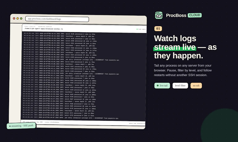 ProcBoss - 跨服务器运行、部署、监控与管理您的应用 产品图片 4