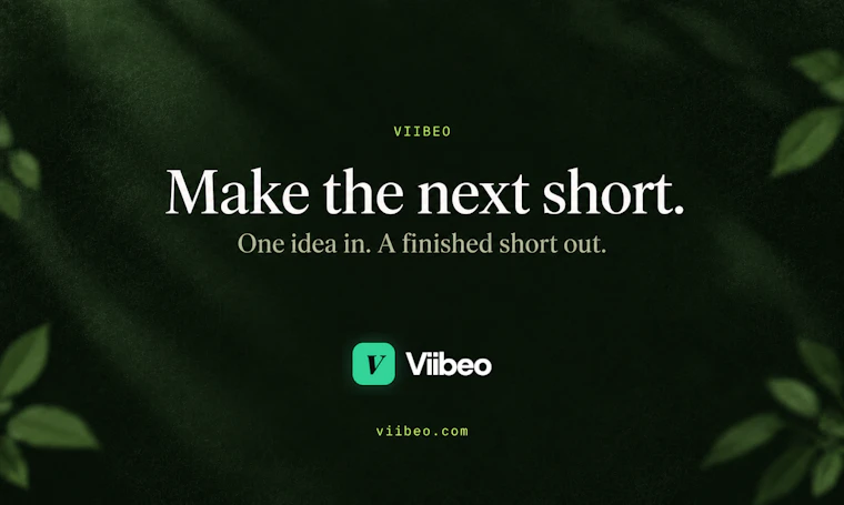 Viibeo - 一个提示词，直达发布级无脸短视频 产品图片 6